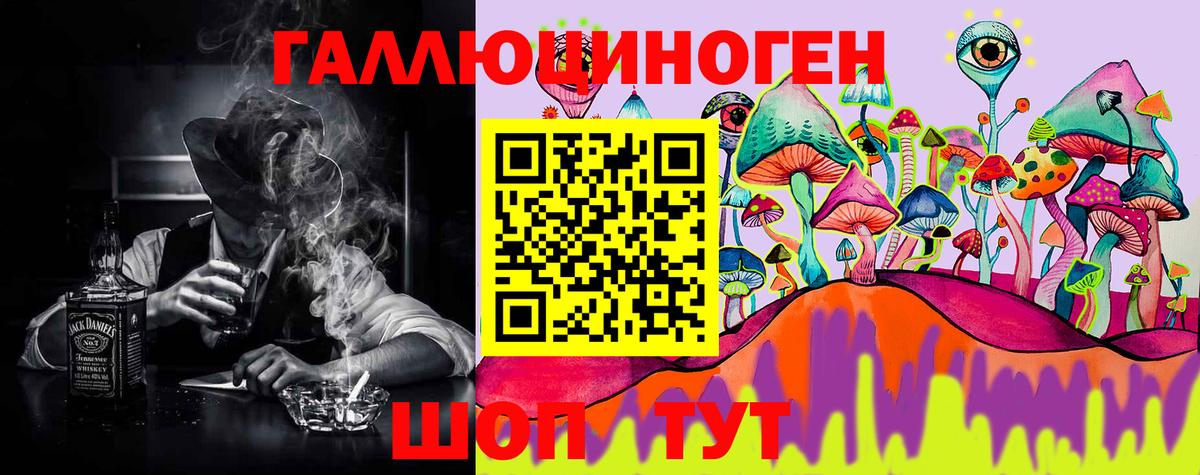 Хасавюрт  Галлюциногенные грибы MAGIC MUSHROOMS  продажа наркотиков  Вход с VPN 